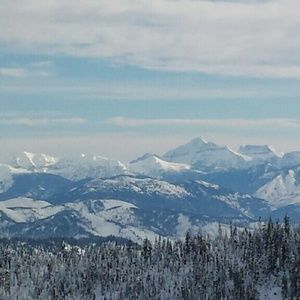 Meet your Posher, Adison