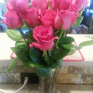 Meet your Posher, Rose