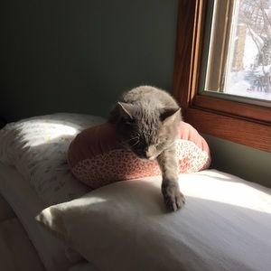 Meet your Posher, Fran