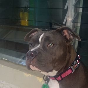 Meet your Posher, Evelyn