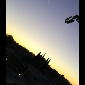 Meet your Posher, Diana