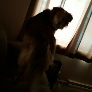 Meet your Posher, Lee