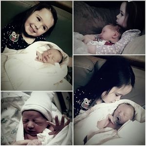 Meet your Posher, Shelby