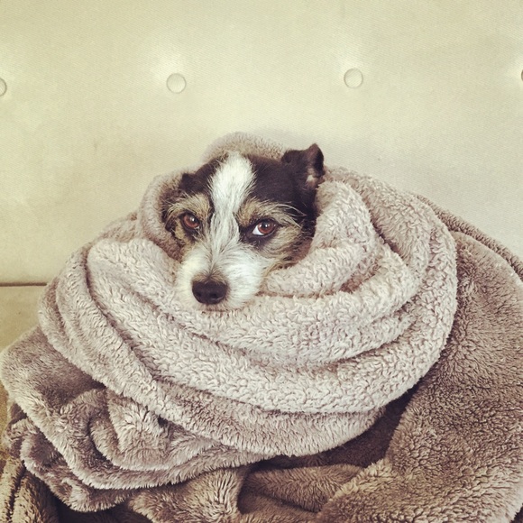 Meet your Posher, Jo - Picture 1 of 1