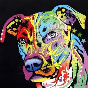 Meet your Posher, Marie