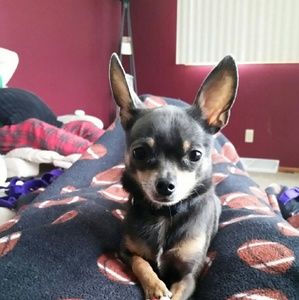 Meet your Posher, Leeann