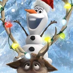 Meet your Posher, Kerri