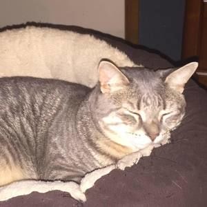 Meet your Posher, April