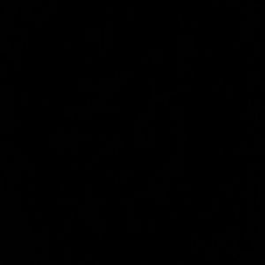 Meet your Posher, Adamari