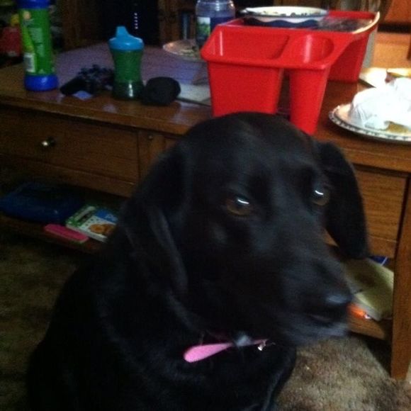 Meet your Posher, Michelle