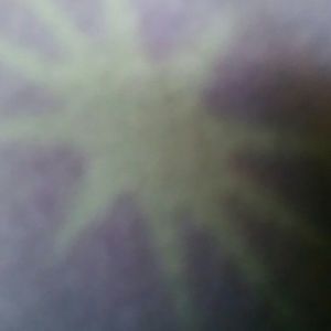 Meet your Posher, Rocio