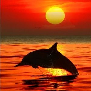 Meet your Posher, Haylee