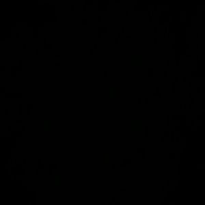 Meet your Posher, Bryce