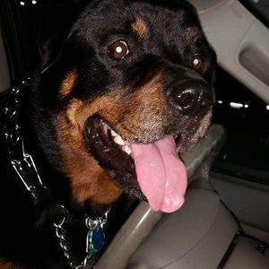 Meet your Posher, Norma