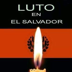 Meet your Posher, Karla