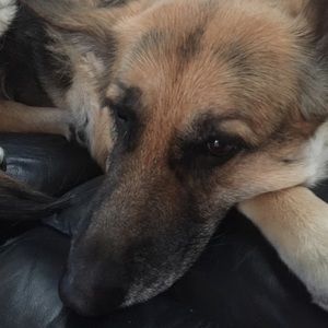 Meet your Posher, Jillian