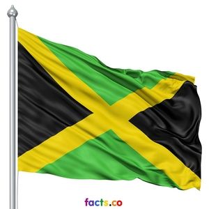 Meet your Posher, Marcie