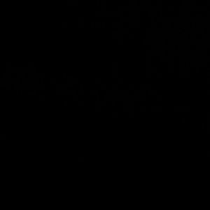 Meet your Posher, Nathan