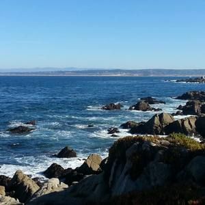 Meet your Posher, Veronica