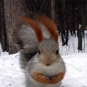 Meet your Posher, Earlene