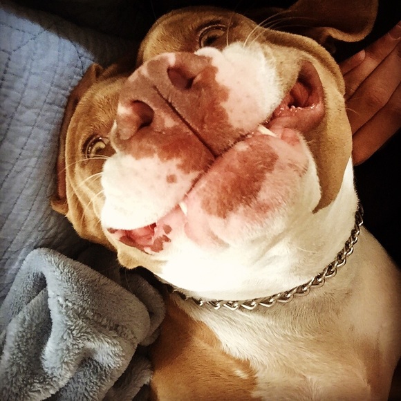 Meet your Posher, Shari - Picture 3 of 4