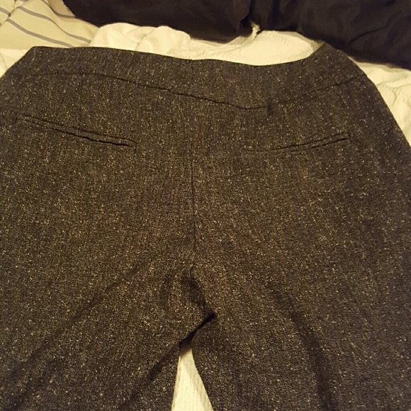 Dress capris - Picture 3 of 3