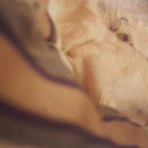 Meet your Posher, Aaliyah