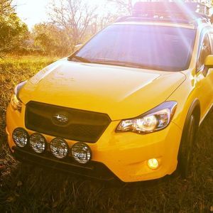 Meet your Posher, Wade