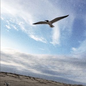 Meet your Posher, Lyanna