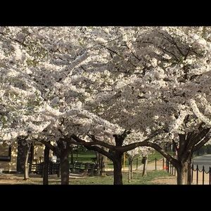 Meet your Posher, Judy