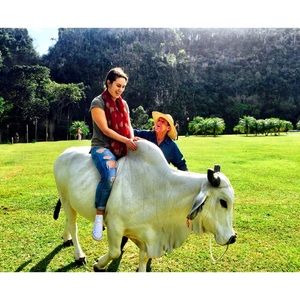 Meet your Posher, Julia