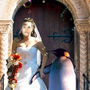 Meet your Posher, Kellie