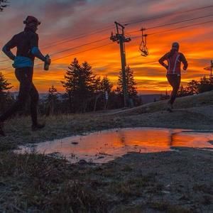 Meet your Posher, Deidre