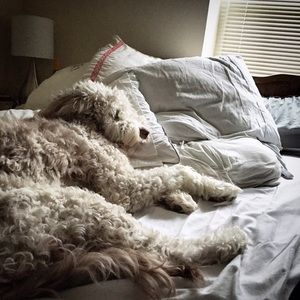 Meet your Posher, Emma