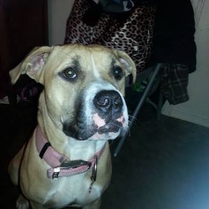 Meet your Posher, Candi