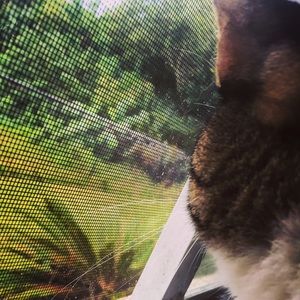 Meet your Posher, Isabella