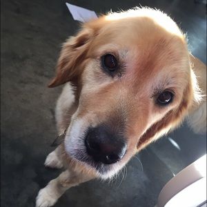 Meet your Posher, Briana