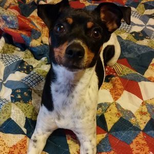 Meet your Posher, Evan