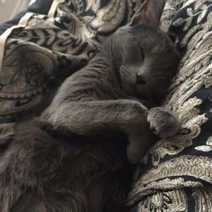 Meet your Posher, Brianne