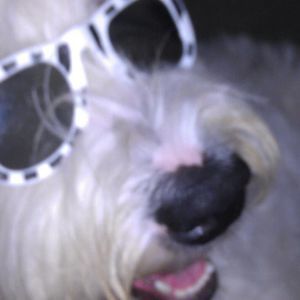 Meet your Posher, Deborah