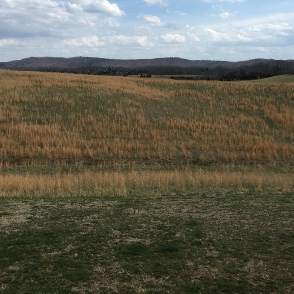 Meet your Posher, Rachel - Picture 2 of 2