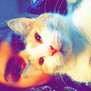 Meet your Posher, Elisabeth