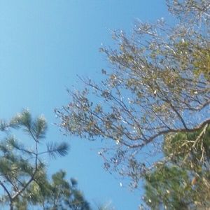 Meet your Posher, Case