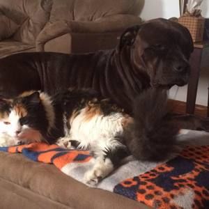 Meet your Posher, Sue