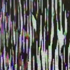 Meet your Posher, Bree