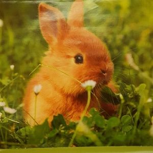 Meet your Posher, C.