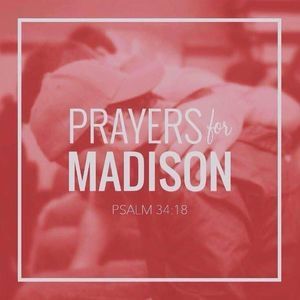 Meet your Posher, Misty