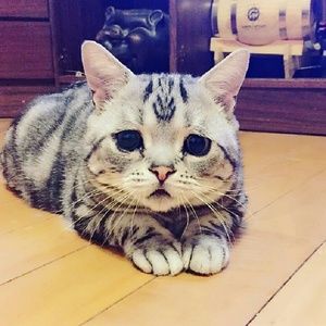 Meet your Posher, Cristal