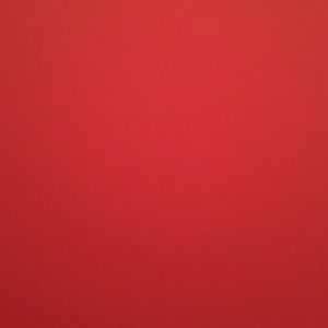 Meet your Posher, Jake