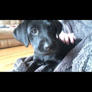 Meet your Posher, Libby